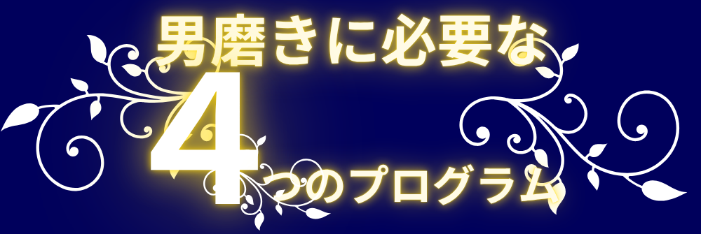 男磨きの4つのプロフラム